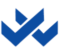 Wizcast Synergies Logo